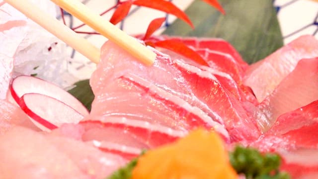 Freshly sliced yellow tail sashimi on a plate