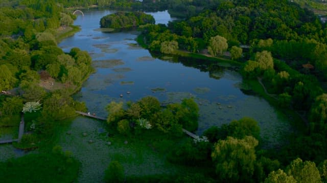 도심에 위치한 평화로운 녹지 생태 공원