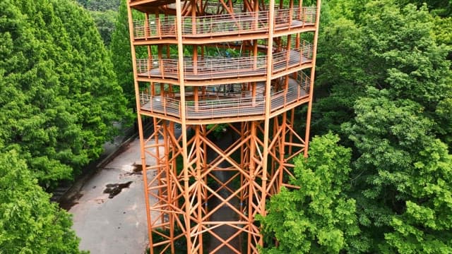 푸른 숲 속에 있는 높은 전망대