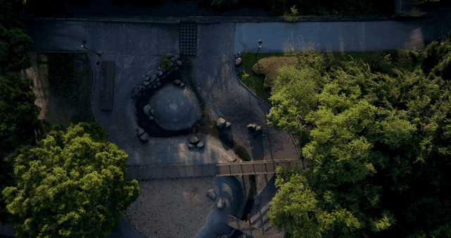 녹지가 있는 공원의 항공 뷰