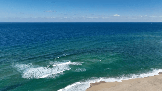 파도가 있는 고요한 해변