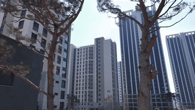 나무가 있는 현대적인 아파트 건물