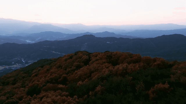 안개가 낀 새벽 산 풍경