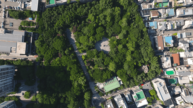 건물로 둘러싸인 도시 공원의 항공 뷰