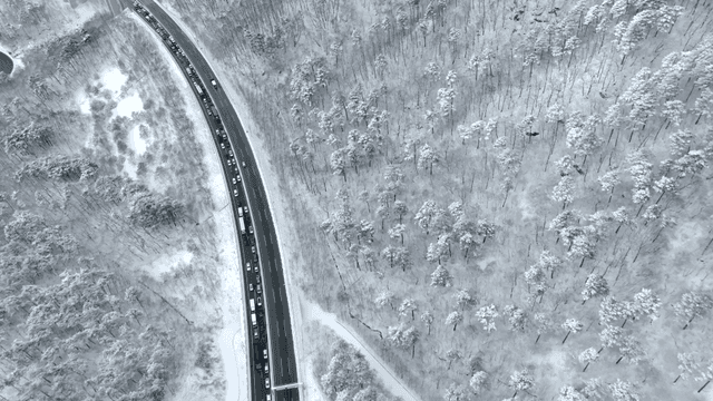 눈 덮인 숲과 구불구불한 도로