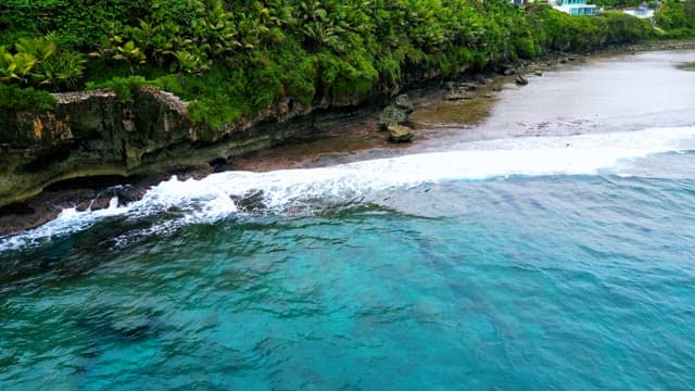 Serene Tropical Coastline with Lush Greenery