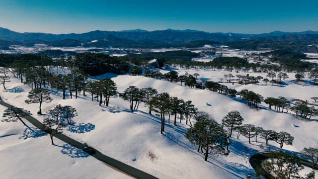 Snowy Landscape with Pine Trees and Mountains