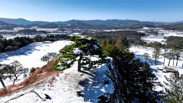 Snowy Landscape with Lush Pines and Mountains