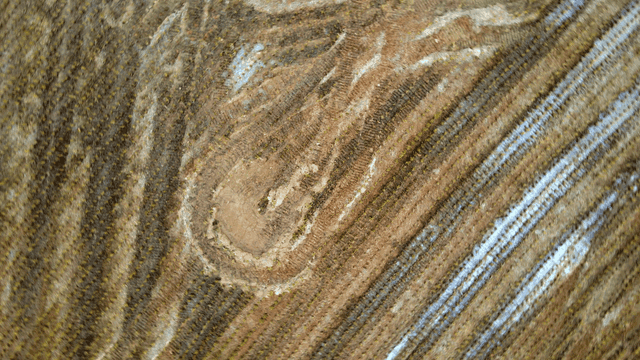 Roughly harvested field