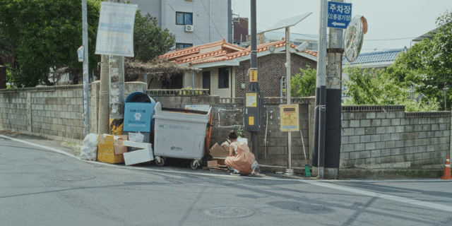 A woman picking up a tree from a dumpster