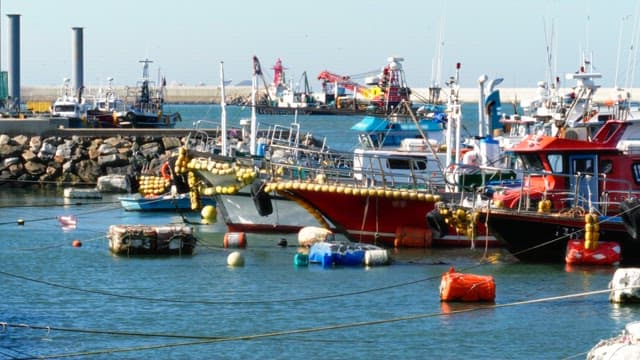 Fishing boats docked near the pier on a sunny day