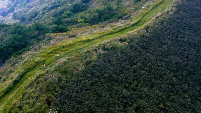 나무가 울창한 언덕길에서의 산책