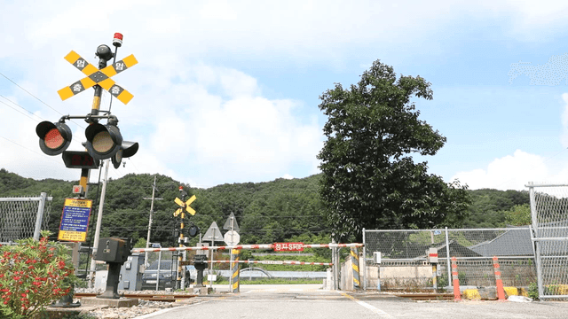 Train passing through a rural crossing