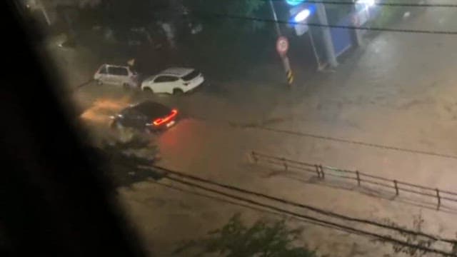 침수 피해를 입은 자동차들