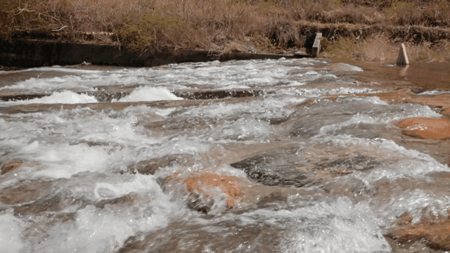 Flowing river with clear water and rocks