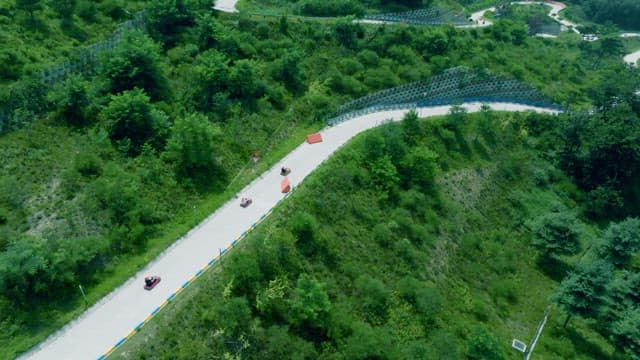 Luge Track Built on a Green Forest Slope