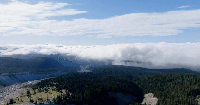 Mountain landscape with clouds and forest