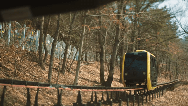 숲을 지나가는 노란색 모노레일