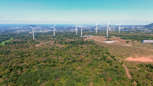 넓은 녹지에 있는 풍력 터빈
