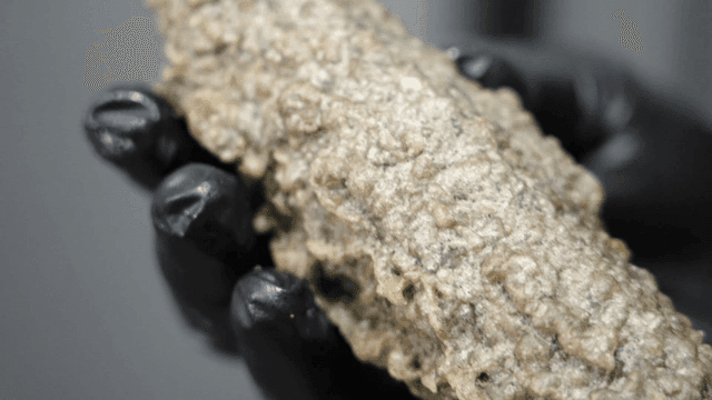 장갑으로 잡은 검은 고추튀김