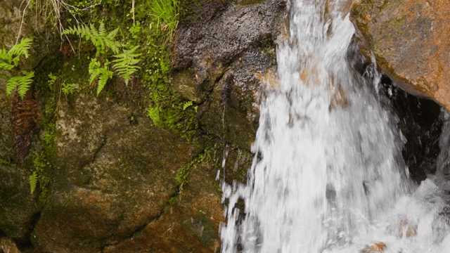 Water cascading over mossy rocks