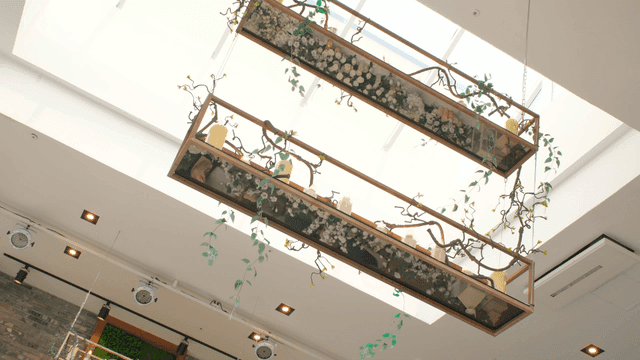 Indoor ceiling with decorative plants