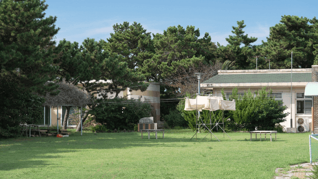 Peaceful garden with trees and houses