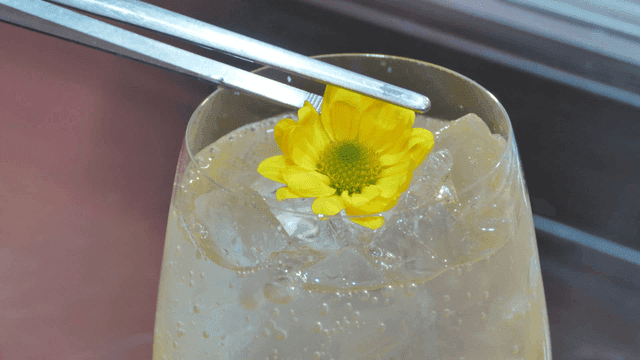 Sparkling water lemonade topped with rapeseed flowers
