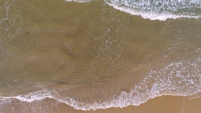 Sea Waves on Sandy Shore