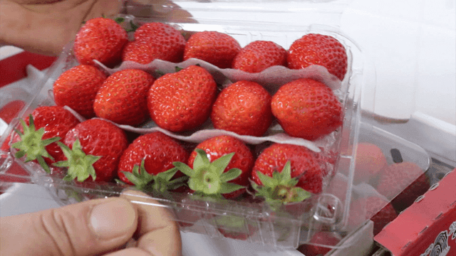 포장을 뜯어 보여주는 딸기