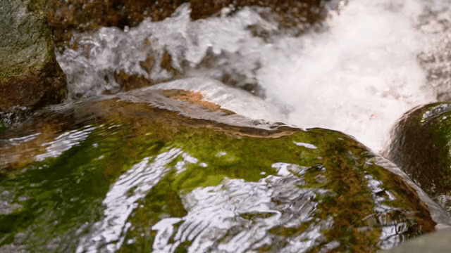 Clear water flowing over mossy rocks