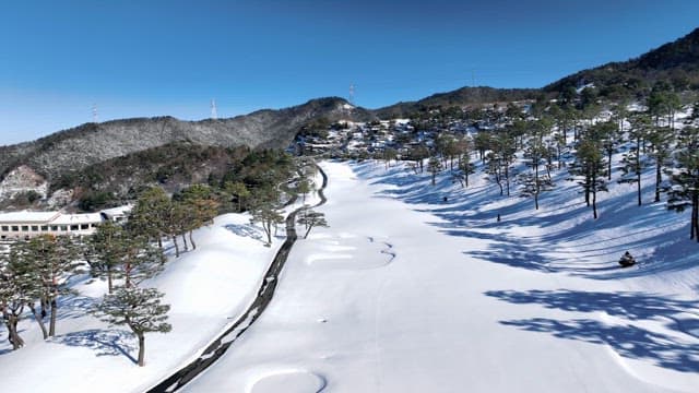 Serene Snowy Landscape with Winding Road