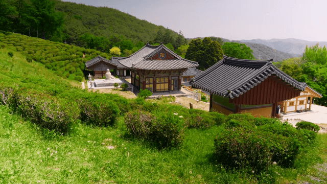 푸른 숲 속의 전통 한국 사찰