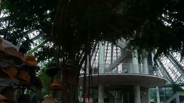 돔 모양 지붕의 식물원 내부 모습