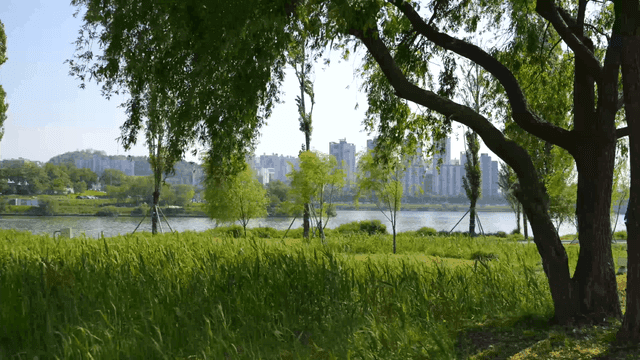 Tranquil riverside park with views of cityscape