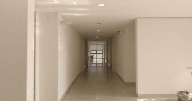 햇빛이 비치는 대학교의 조용한 복도