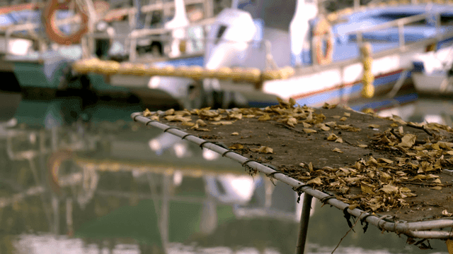 Boats docked by a calm waterway