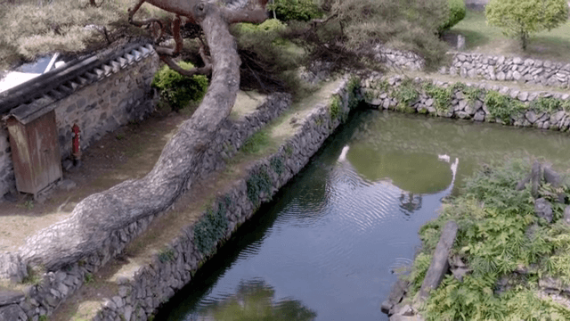 Traditional garden with a serene pond