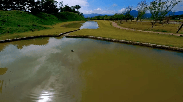 푸른 나무가 둘러싼 연못과 들판