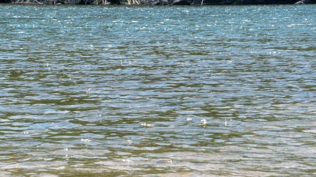 한낮의 햇빛에 반짝이는 맑은 물