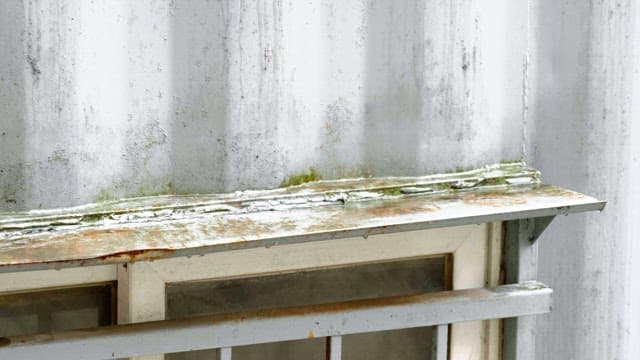 컨테이너 박스의 녹슨 창틀과 낡은 벽에 자란 이끼 위로 떨어지는 빗방울