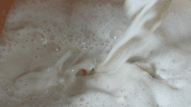 통에 부어지는 콩물