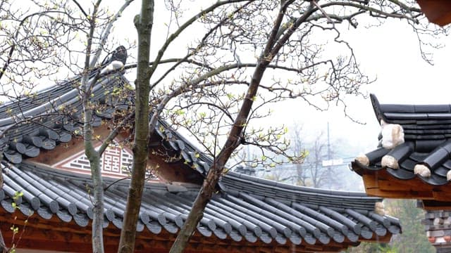 Peaceful traditional roofs of Hanok on a rainy day