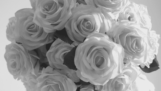 활짝 핀 장미 꽃다발