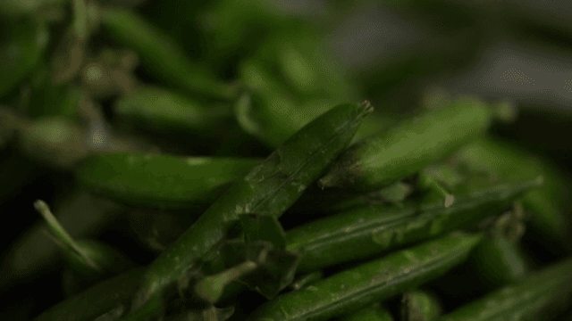 신선한 녹색 고추 더미