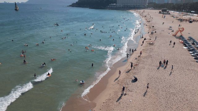 Crowded beach with people swimming