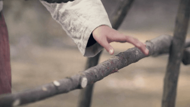 나무 울타리를 부드럽게 만지는 손