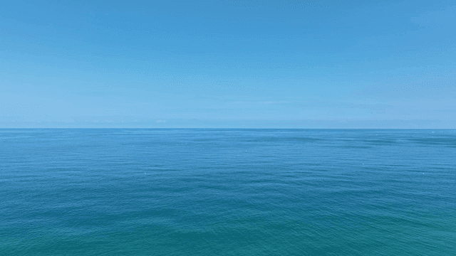 서퍼들이 있는 맑은 푸른 바다와 해변