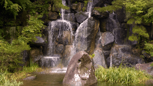 Tranquil waterfall surrounded by green forest