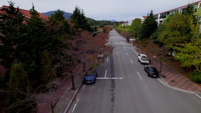 조용한 도시의 주택가와 차도